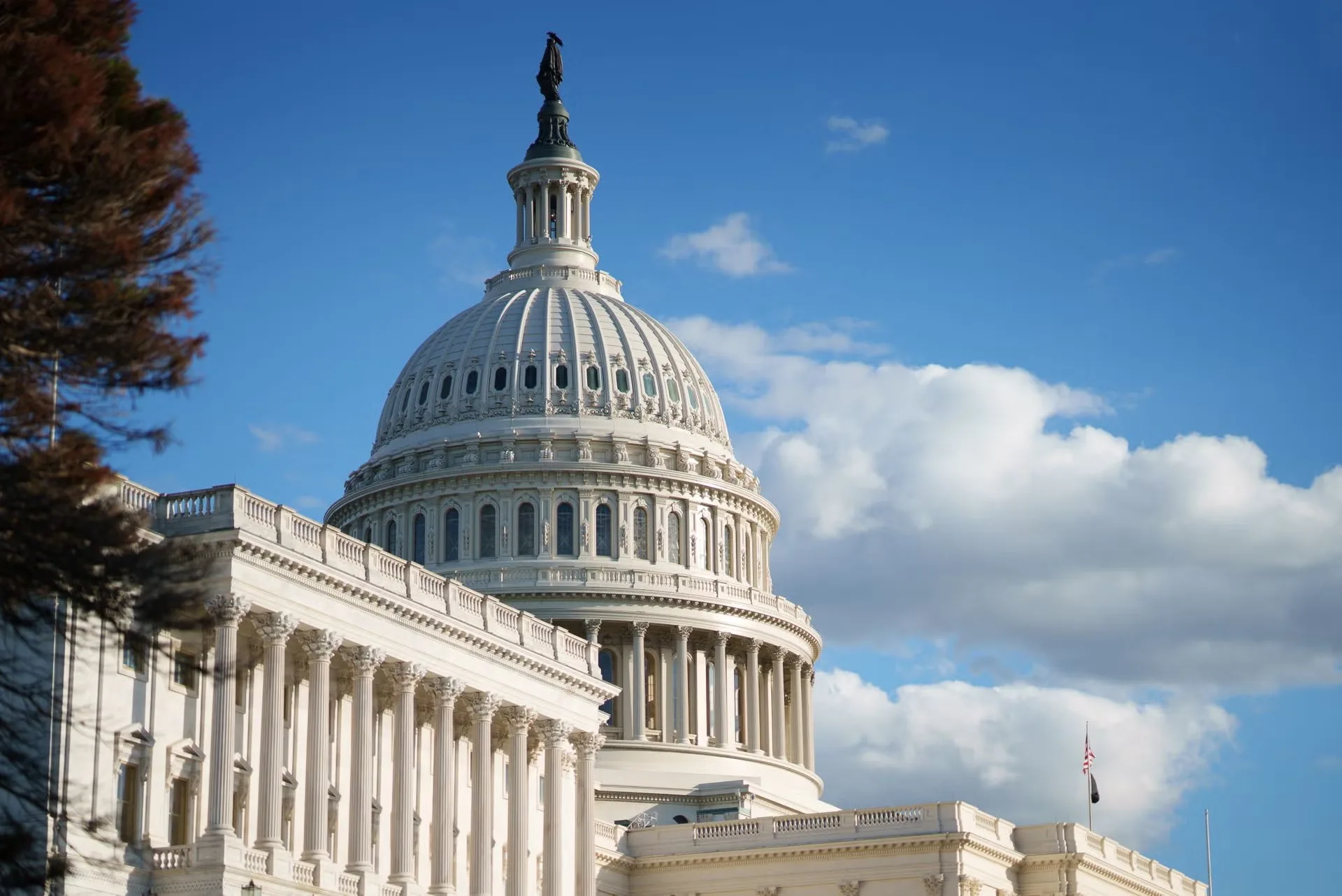 The dome of the United States Capitol against a blue sky, the Statue of Freedom on top and the colonnaded north wing in the foreground